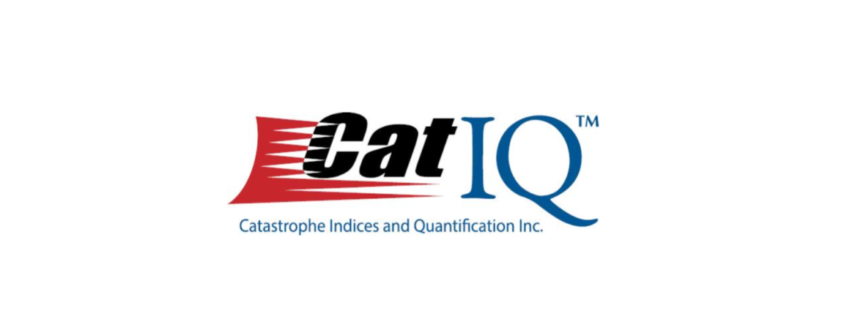 Old CatIQ Logo